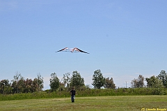 Venice kite festival_0113